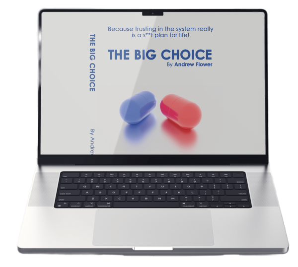 The Big Choice Book - Image 2